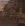 1782238379450.webp