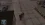 изображение_2026-06-24_125051715.webp