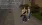 6.webp
