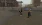 17.webp