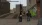11.webp