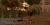 7.webp