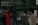 Мэддисон_1.webp