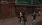 33.webp
