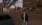 34.webp