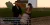 3.webp