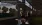 7.webp
