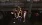 15.webp