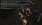 16.webp