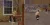 11.webp