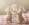 1782510469696.webp