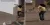Старт прямоугольник 1.webp