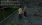 12.webp
