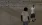 7.webp