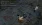 7.webp