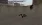 16.webp