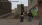 19.webp