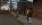 32.webp