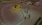 4.webp