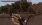 8.webp