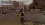 11.webp