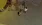 16.webp