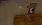 18.webp