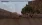 14.webp