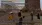 15.webp