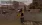 11.webp