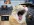 Скриншот 02-07-2026 115841 (1) (1) (1).webp
