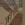 2026-07-02-15-22-11.webp