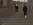 Без имени-2.webp