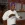 2026-07-02-16-31-45.webp
