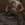 8.webp
