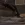 9.webp