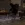11.webp