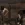 24.webp