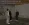 1783100064838.webp