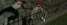 1783102669577.webp