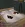 21.webp