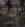 36.webp