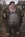8d374a614ed306c1016a1eb7809f2112.webp