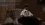 22.webp