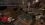 23.webp