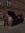 1783240354212.webp