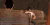 36.webp