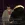 2026-07-03-00-28-15.webp