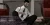 57.webp
