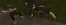 1783355696039.webp